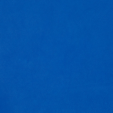 Blue Leather Pack