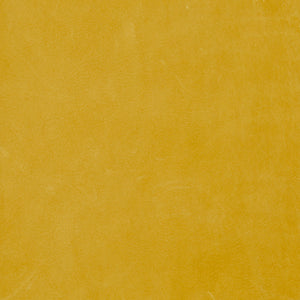 Yellow Leather Pack